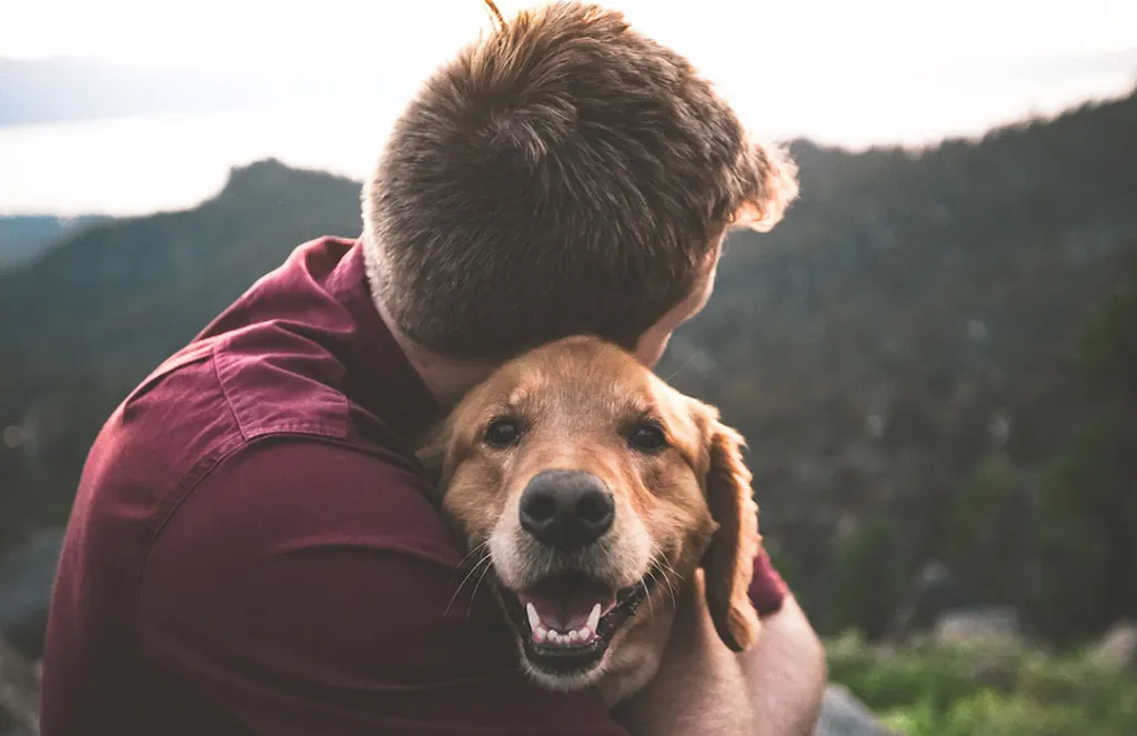 Pet Grief Counseling Certification Building Skills to Support Healing